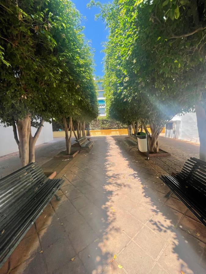 Apartamento Jardines Del Rocio Torre Del Mar Exteriör bild