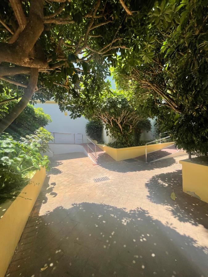 Apartamento Jardines Del Rocio Torre Del Mar Exteriör bild